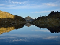 Pyrenees